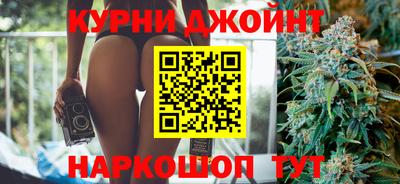 гидра Брянск
