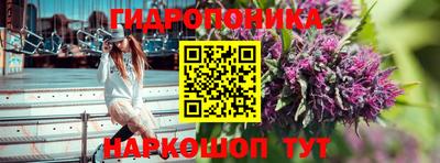 герыч Боровичи