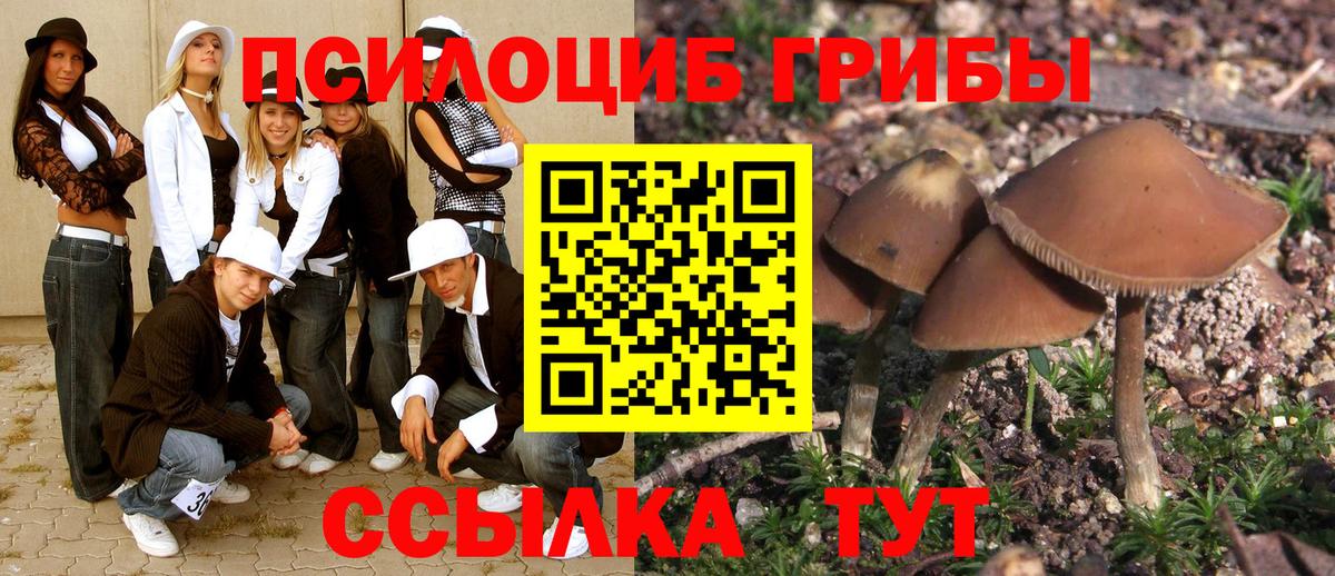 Псилоцибиновые грибы Magic Shrooms  Галлюциногенные грибы прущие грибы  Знаменск  Вход с VPN 